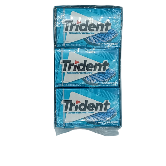 Trident Wintergreen 14pk/12ct