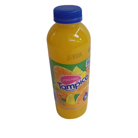Tampico Citrus Punch 20z/24ct